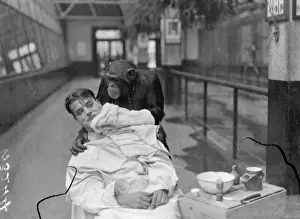 Peter, zoo chimp, gives his keeper a close shave! Keeper Harry Browns daily