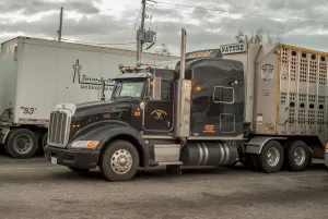 Distance Prints: Peterbuilt 6x4 semi with a livestock trailer parked up on a service station SW of