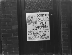 A photo of an RSPCA poster on a door around Sidcup, Kent. 1939