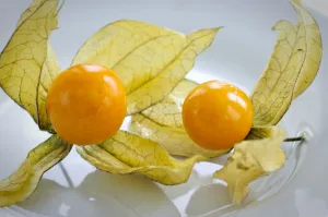 Decorative Prints: Two phthysalis fruits on white surface credit: Marie-Louise Avery / thePictureKitchen