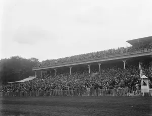 Railings Prints: Picture of Goodwood specially taken for Mr Hubbard. The crowded spectator stands