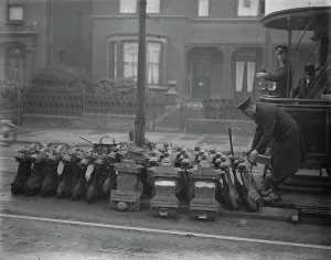Adult Prints: At places where the tram system changes from overhead cables to underground cables