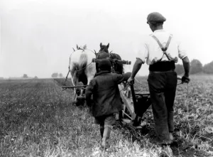 Machinery Prints: Ploughing, Kingsdown, Kent with old Kent plough 1936
