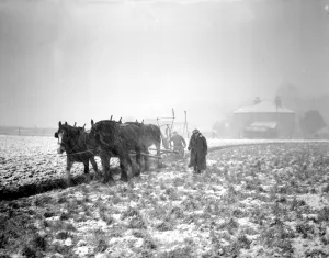 Post War Prints: Ploughing in snowstorm January 1947