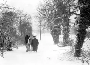 Farmer Prints: Ploughman and his horse Wrotham Kent 1947