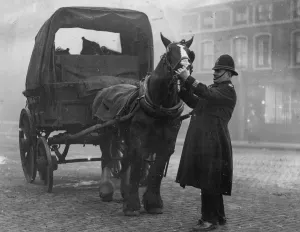 Policeman Constable Kendal Dent East End of London inspecting a horses teeth to