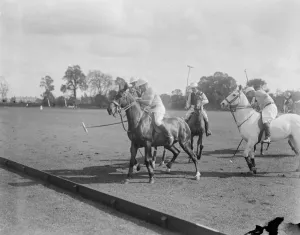 Riders Prints: Polo at Ranelagh America versus Ranelagh A tussle for the ball near the boundary 9