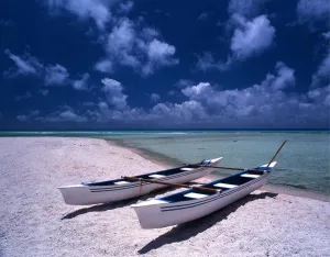 Paradise Prints: Polynesia. Averami