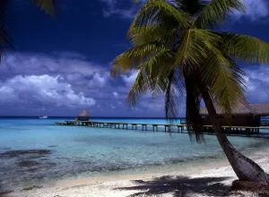 Polynesia Rangiroa