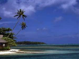 Polynesia Tahiti Moorea