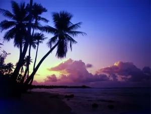 Polynesia Tahiti Moorea