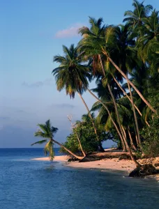 Tropical Island Prints: Polynesia Tahiti Moorea Island