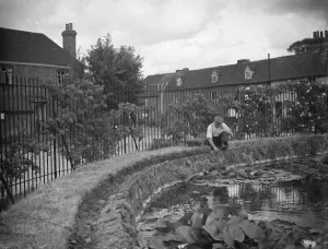 The pond roundabout in Otford. 1938