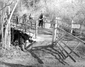 Poohs bridge has been repaired. The bridge is to be seen over a brook to the SW of Hartfield