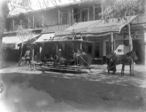 Animal Prints: Port Said, Egypt. The worlds oldest traditional tramway. The horses are roped