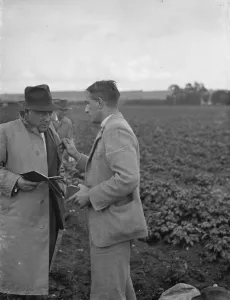 Crop Prints: Potato demonstration, Cottons farm. Mr J N Sharrock holding the scales. Mr C