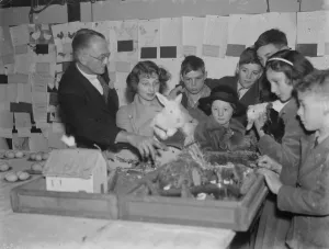 Rabbit Prints: Poultry show at Chislehurst, Kent. 1936