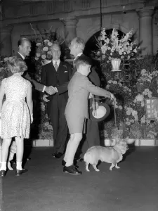 Prince Charles pushes the lead forward to guide the royal corgi at Euston Station
