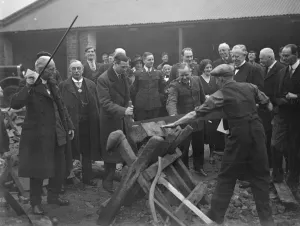 Prince George tries his hand at sawing wood. Prince George helping to saw wood