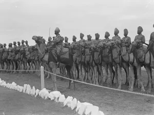 Prince of Wales guard of honour. The Prince of Wales is spending the week end at Bikaner