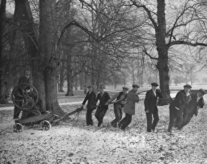 Workers Collection: Pulling down 300 year old trees in Bushy Park, London, that had become dangerous