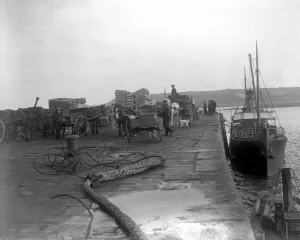 Dock Prints: On the quay at St Mary s, Scilly Isles. Loading the cut flowers onto SS Lapwing