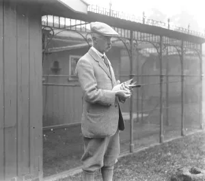 Queen Alexandras Pigeon Post Three famous pigeons which had been sent to Sandringham