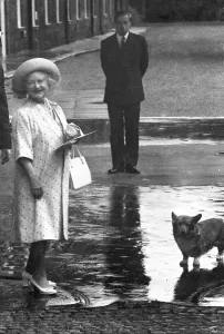 Smiling Prints: The Queen Mother outside her home at Clarence House on her 84th birthday with a royal corgi