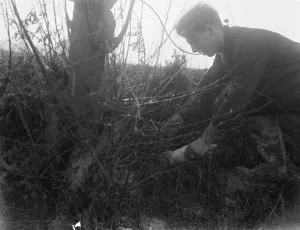 Hunt Prints: Rabbit hunting with a ferret. 1937