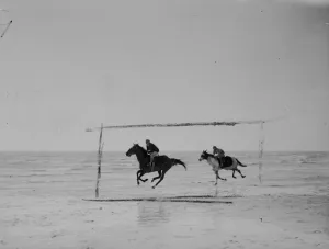 Race horses train on sands. Some of Britains leading racehorses, unable to train