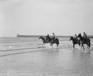 Four racehorses taking the cure in the surf at Seaford. Second from left is Master Orange