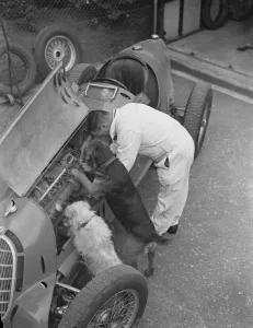 A racing driver and two dogs check the engine of a racing car. 1939