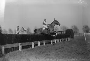 Racing at Gatwick. Royal Lancs ( W Davies up ) taking the last fence in