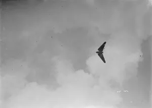 Plane Prints: The RAF Display at Hendon The Tail less Pterodactyl IA with a Bristol Cherub engine