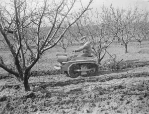 The Ransomes from Ipswich demonstrate their MG2 Motor Garden Cultivator in East Malling
