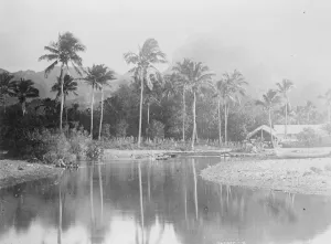 Lake Prints: Rarotonga of the Cook Islands, Lake and Mountain scebery 13 April 1922