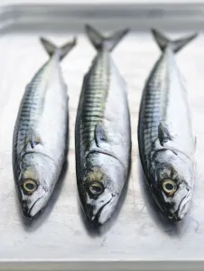 Healthy Prints: Three whole raw fresh mackerel credit: Marie-Louise Avery / thePictureKitchen / TopFoto
