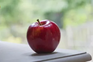 Fruits Prints: One whole red apple in natural setting credit: Marie-Louise Avery / thePictureKitchen