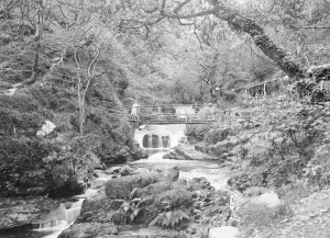 Single Prints: River Lym at Lymton 1925