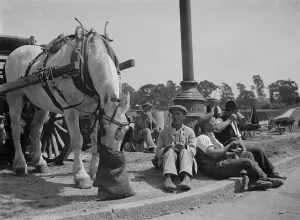 Resting Prints: Road men taking tea in Eltham. 14 July 1937