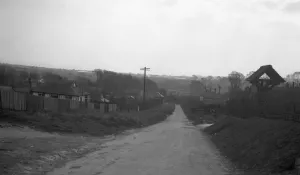 Houses Prints: The road through North Lancing, West Sussex showing the Sussex downs ( hills ) 1931