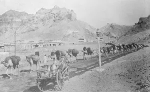 The rock from Gibraltar Bay. 1 October 1921