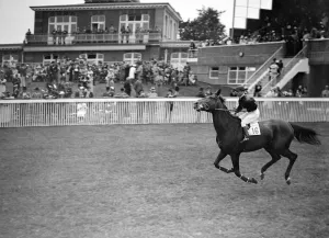 Horses Prints: Rodomont at Goodwood Racecourse, Sussex, England 1937
