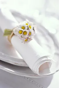 Rolled white napkin tied with a bunch of daisies, on white plates. credit: Marie-Louise