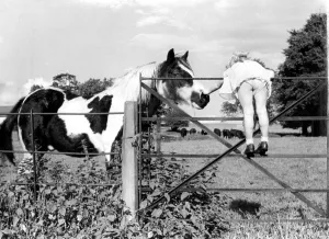 Resting Prints: Rowena Taylor and her pet horse