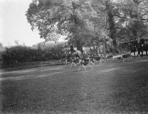 Hunting Prints: The Royal Artillery Drag Hunt on Gn Street Green in Woolwich, London. 1938