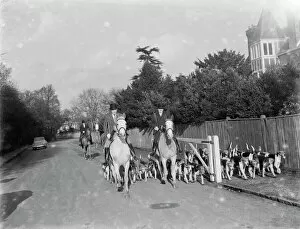 Dogs Collection: Royal Artillery Draghunt at Chislehurst, Kent. 1937