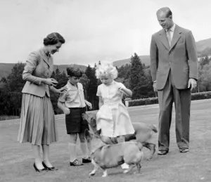 Royal Family play with their corgis. Queen Elizabeth and the Duke of Edinburgh with