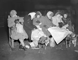 Spectator Prints: Royal Wedding. Five elderly ladies who are braving the weather by sleeping out all