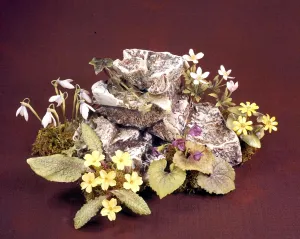 Antiques Prints: Royal Worcester Porcelain Flowers